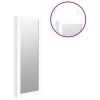 Mirror Jewelry Cabinet Wall Mounted White 14.8" x 3.9" x 41.7"
