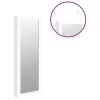 Mirror Jewelry Cabinet Wall Mounted White 14.8" x 3.9" x 41.7"