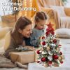 2ft Tabletop Christmas Tree with Light Artificial Small Mini Red Christmas Decoration with Flocked Snow, Exquisite Decor & Xmas Ornaments for Table To